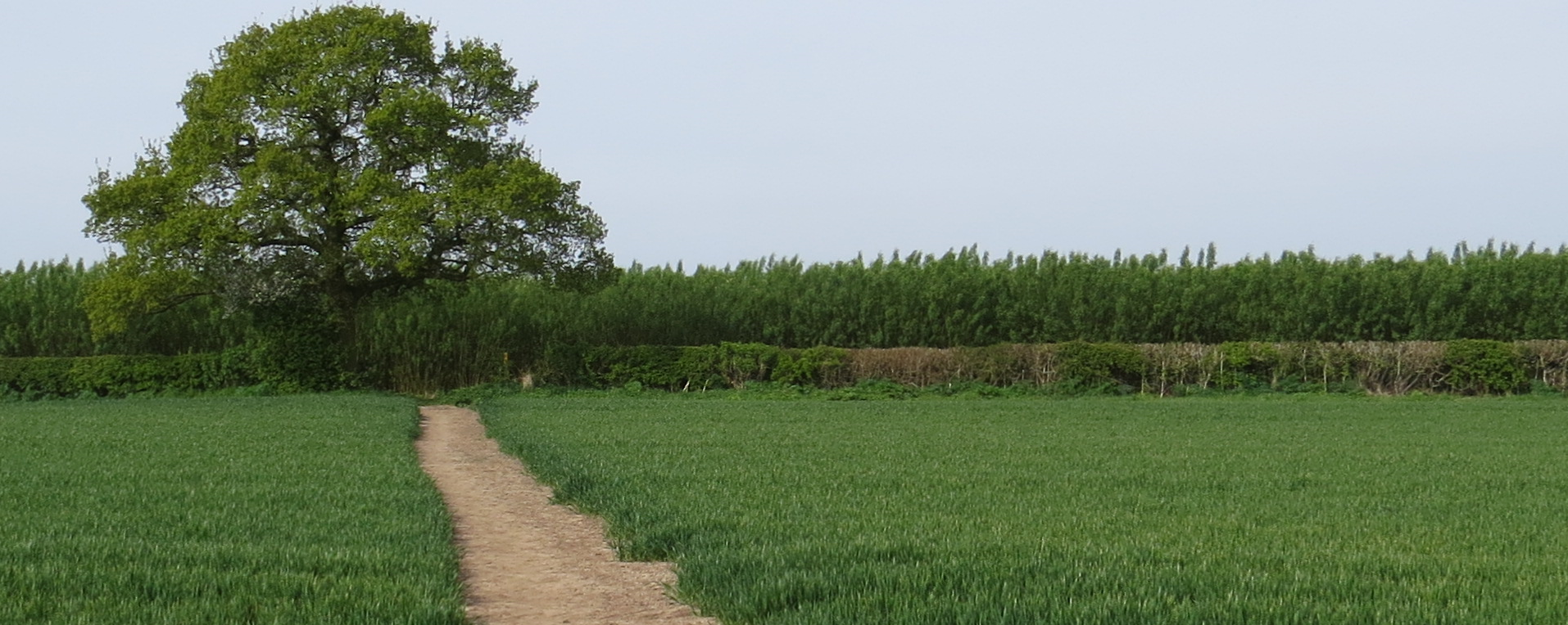 Public Right of Way to Willow Plantation