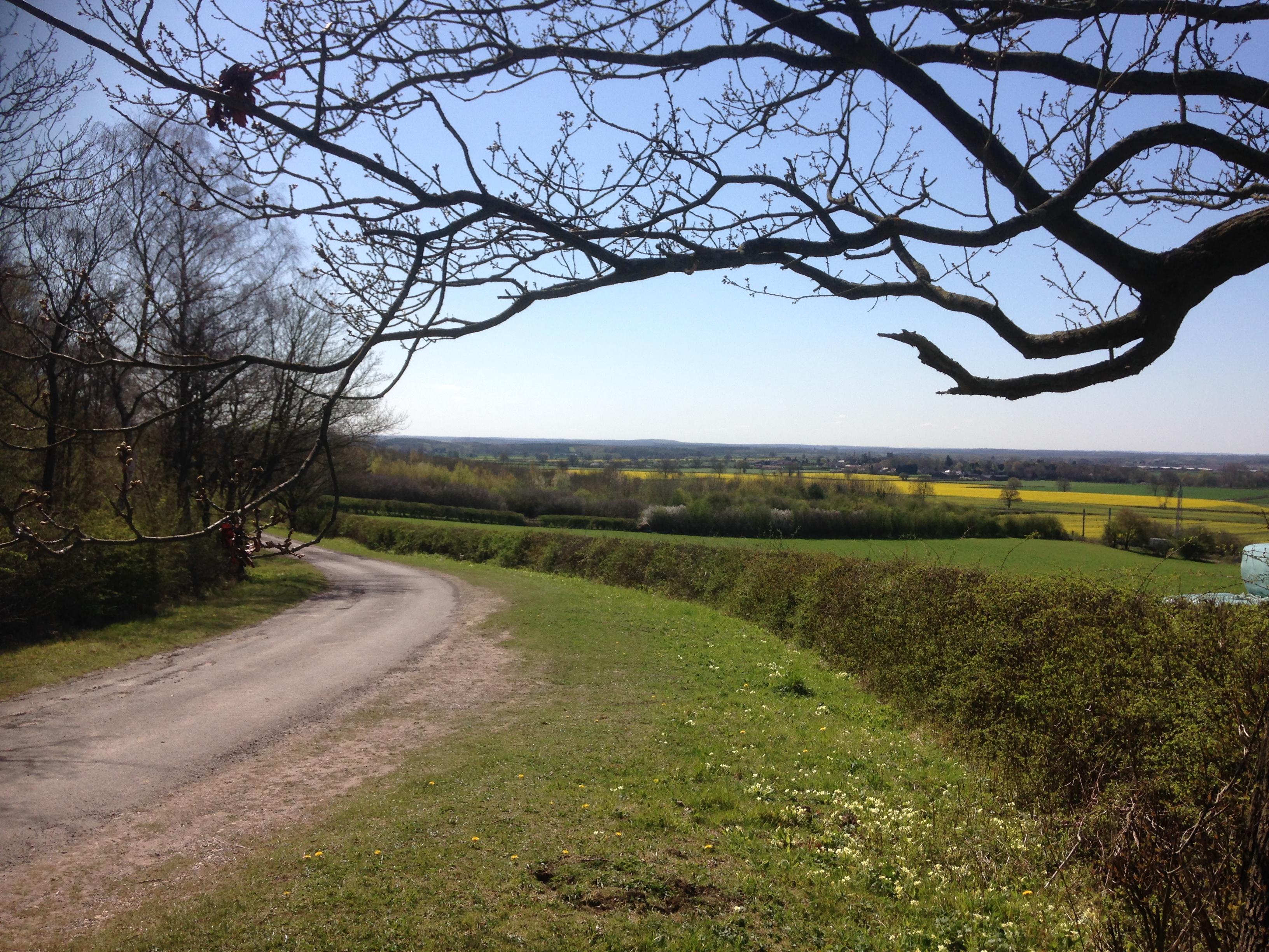 Country View beyond Gamston Woods